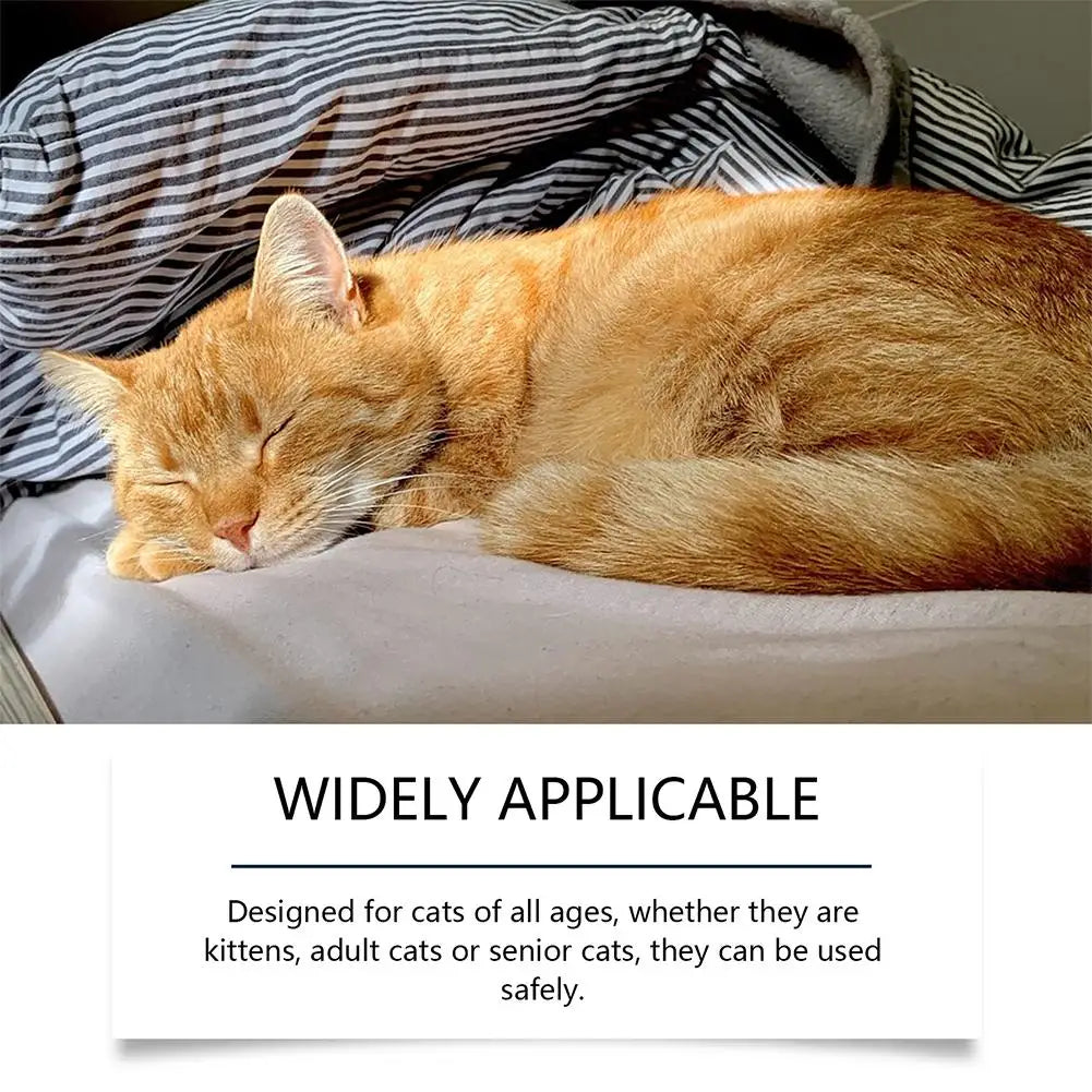 Un gato atigrado naranja está durmiendo pacíficamente sobre una superficie blanca.