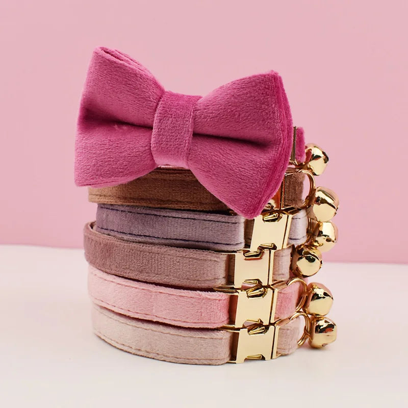 A pink velvet bow collar with gold-tone hardware and a matching pink strap.