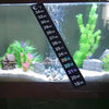 Thermomètre numérique à coller pour aquarium