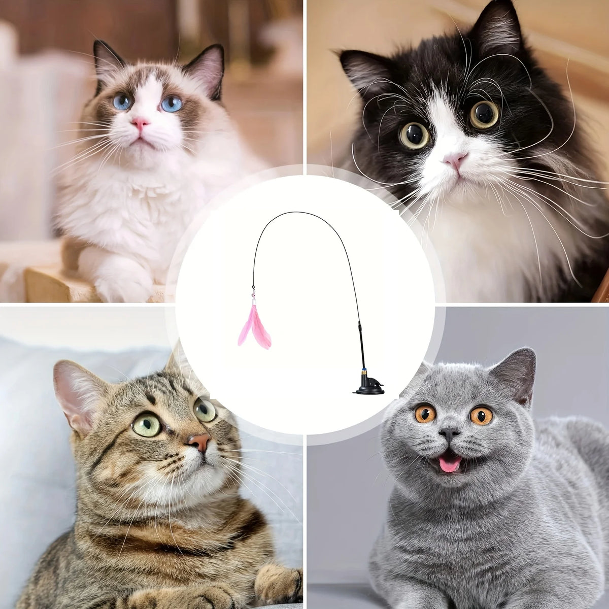 Collage de un gato interactuando con una varita teaser que tiene pluma y campanilla.