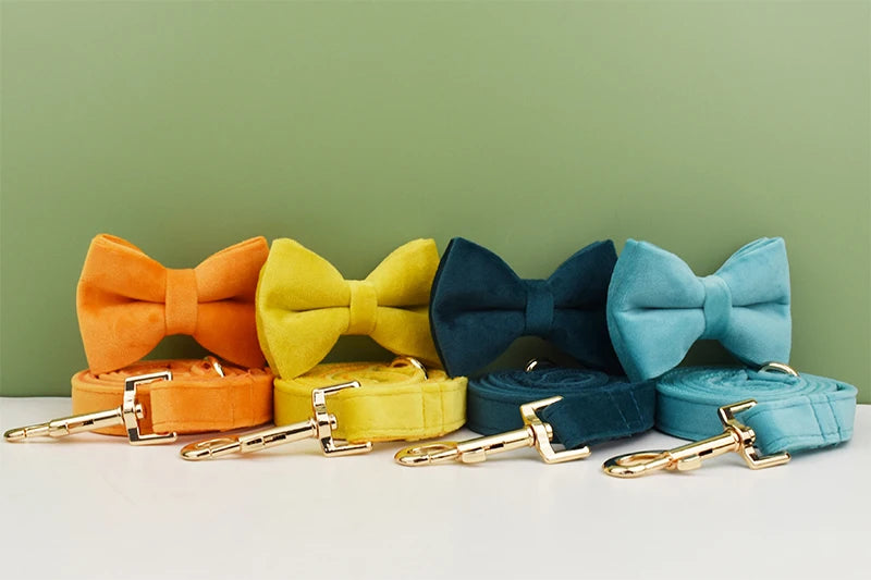 A set of luxury velvet dog collars and leashes in orange, yellow, navy blue, and teal, each featuring a matching bow tie.