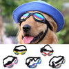 A dog wearing a blue hat and sunglasses, with various colored pet sunglasses shown below.