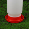 Automatic Poultry Feeder and Drinker Water Dispenser