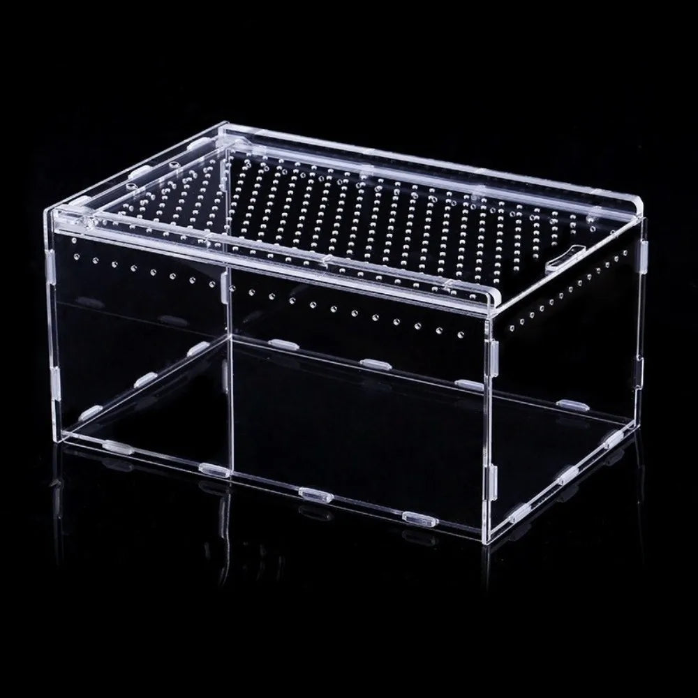 Acrylic Reptile Terrarium with Ventilation and Anti-Escape Lid