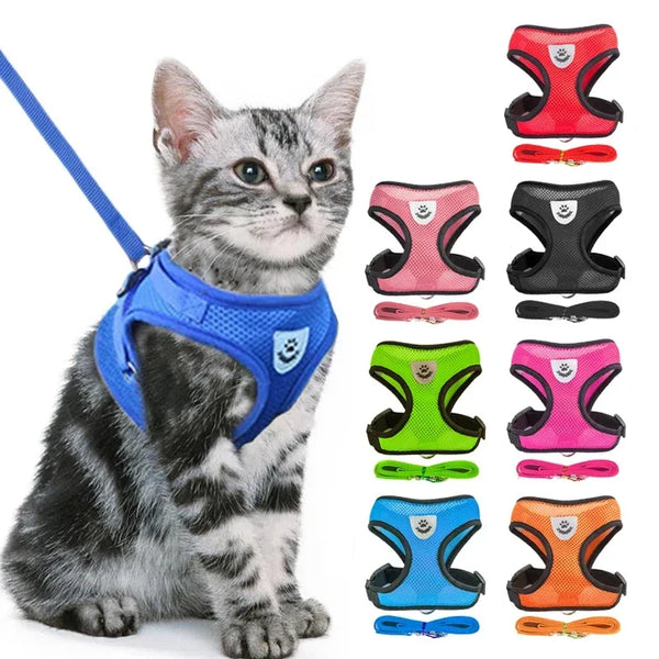 Harnais réglable pour chat avec laisse
