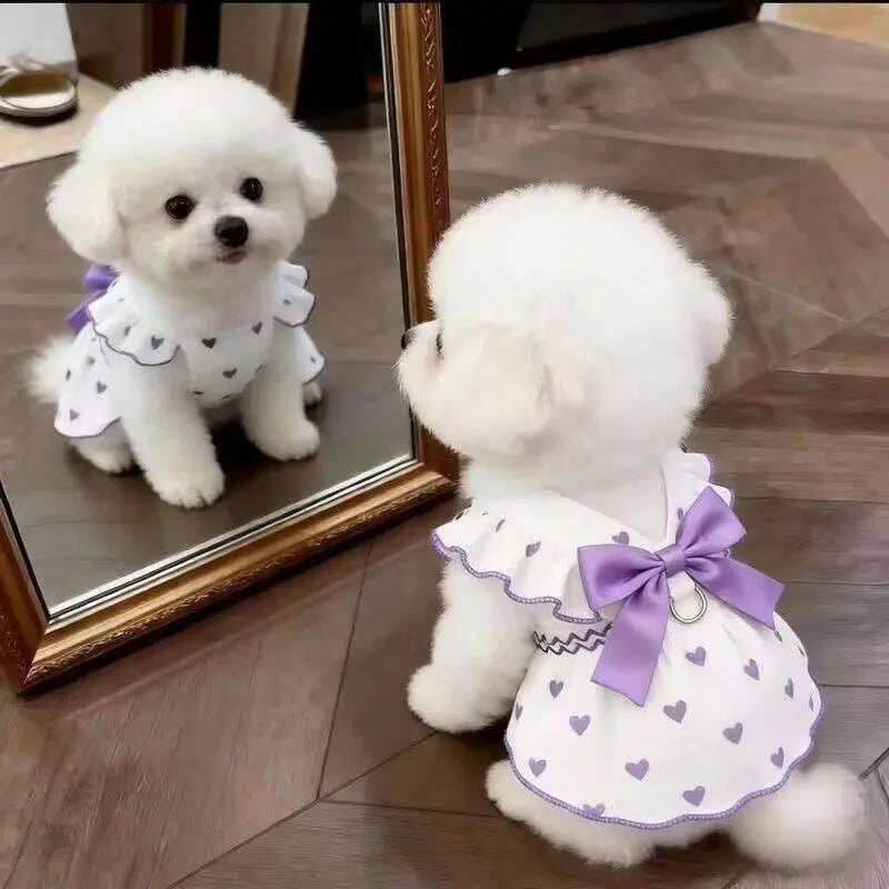 Summer Bow Heart Print Pet Dress for Small Dogs and Cats