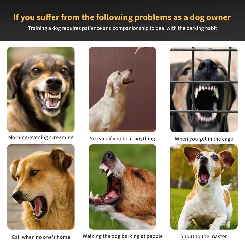 Images showing dogs exhibiting barking behaviors such as screaming, growling, and barking at people.