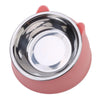 Ergonomic Stainless Steel Pet Food Bowl with Tilted Design