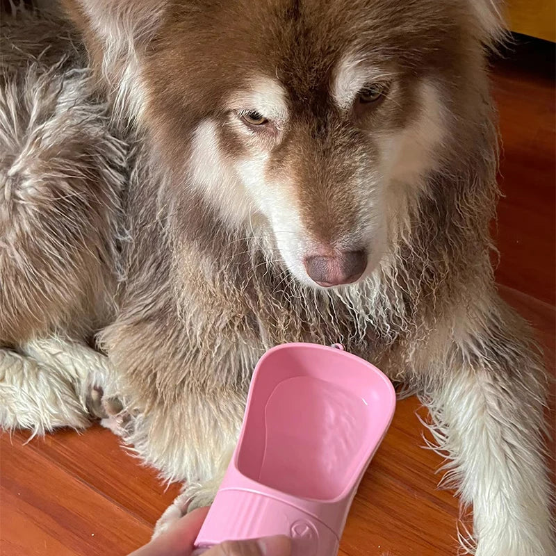 2-in-1 Portable Dog Water Bottle with Food Container