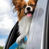 A fluffy brown and white dog is resting its chin on a car window, supported by a soft cushion.