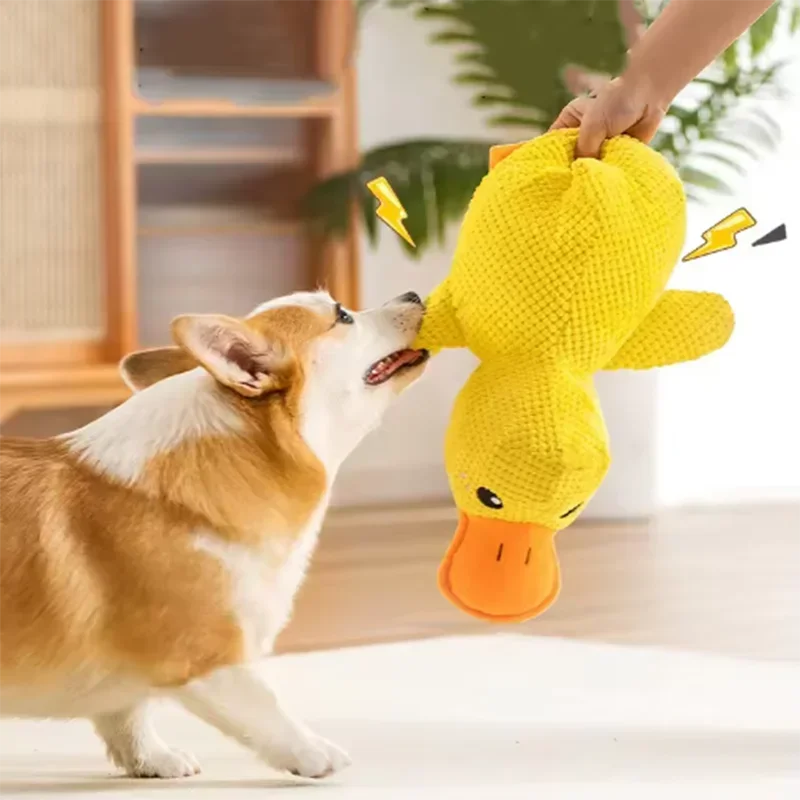 Jouet pour chien en canard à pas lourds interactif