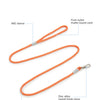 Reflective Nylon Dog Leash with Quick-Release Clip – 150cm