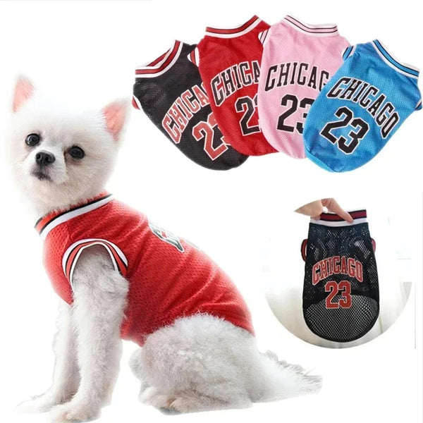 Ein weißer Hund in einem roten Trikot, mit mehreren Chicago-Themen-Shirts in der Nähe ausgestellt.