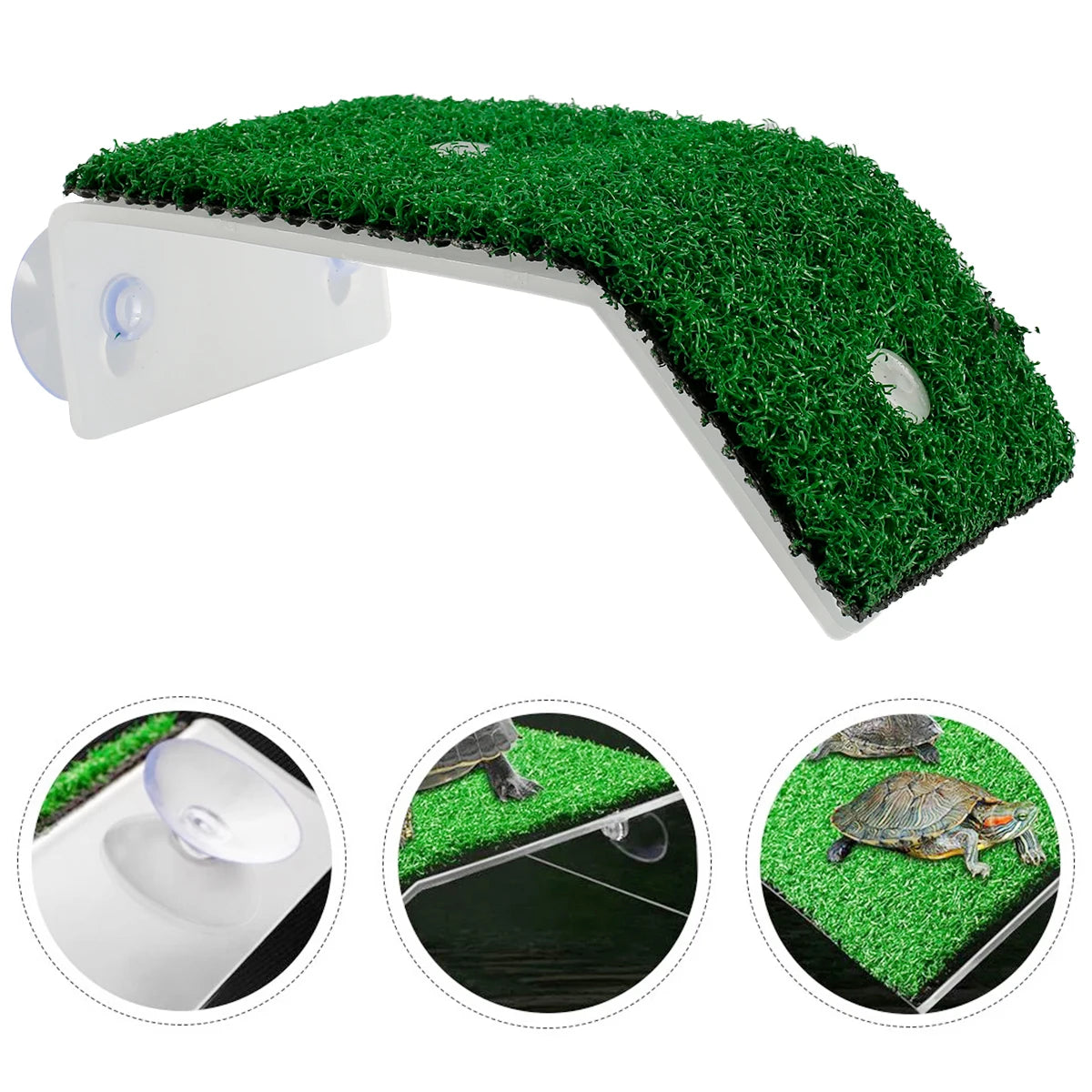 Turtle Basking Platform with Simulation Lawn Ramp