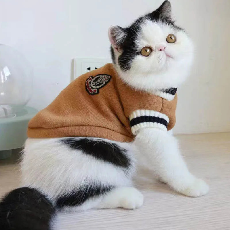 A fluffy black and white cat wearing a brown cozy cotton pullover sweater with black stripes.