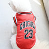 A white dog wearing a red basketball vest with the number 23 and Chicago lettering.