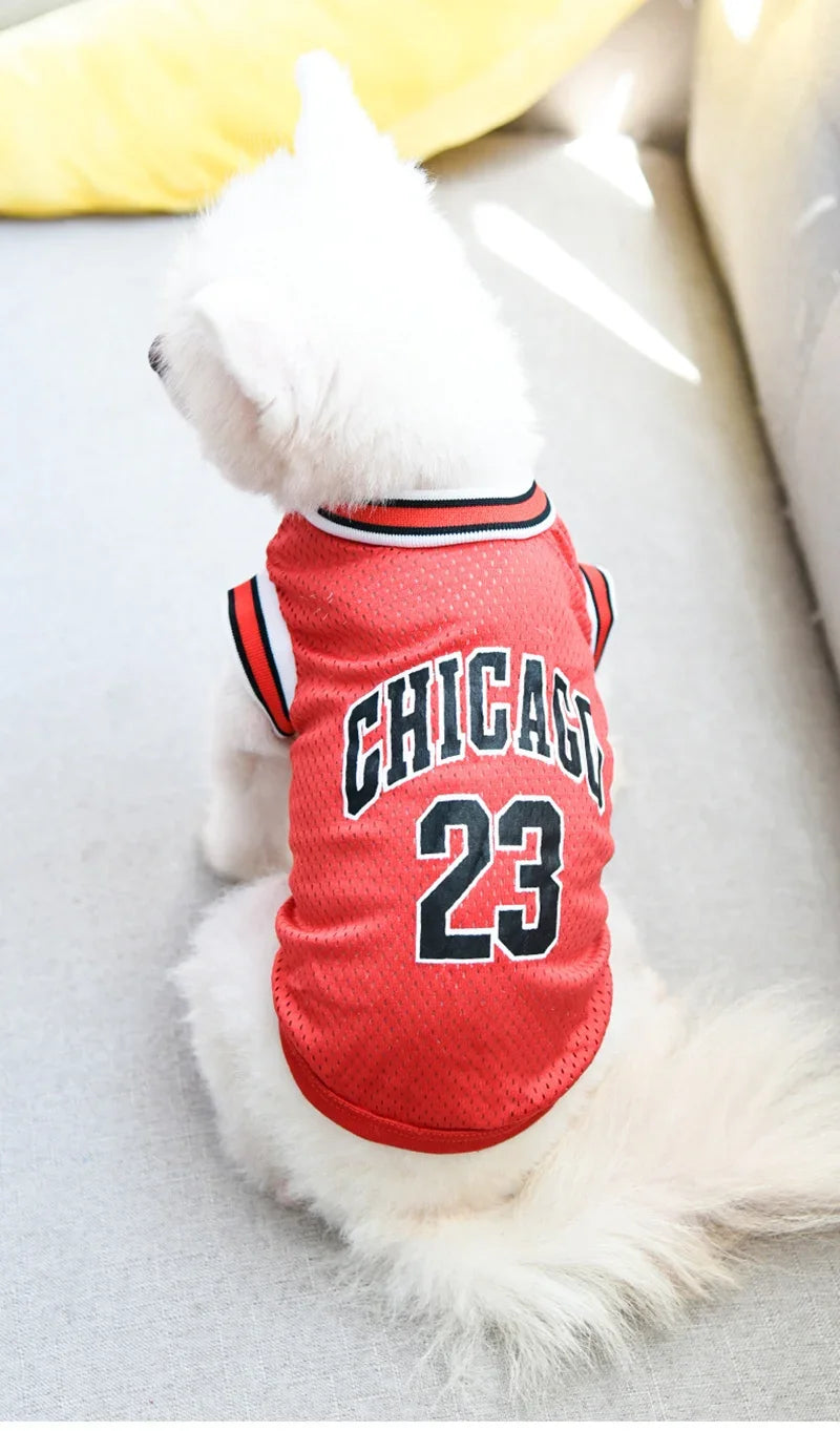 A white dog wearing a red basketball vest with the number 23 and Chicago lettering.