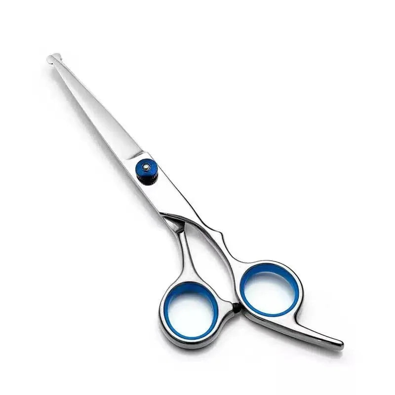 Ein Paar professionelle Edelstahl-Pflegeschere mit silbernen Klingen und blauen Akzenten.