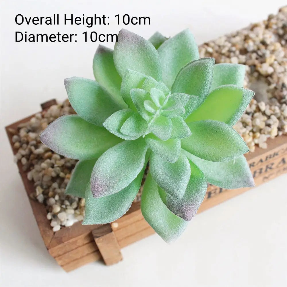 A vibrant green succulent plant with pink tips is displayed on a wooden tray next to small pebbles.