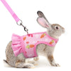 Adjustable Mesh Harness with Leash for Small Pets