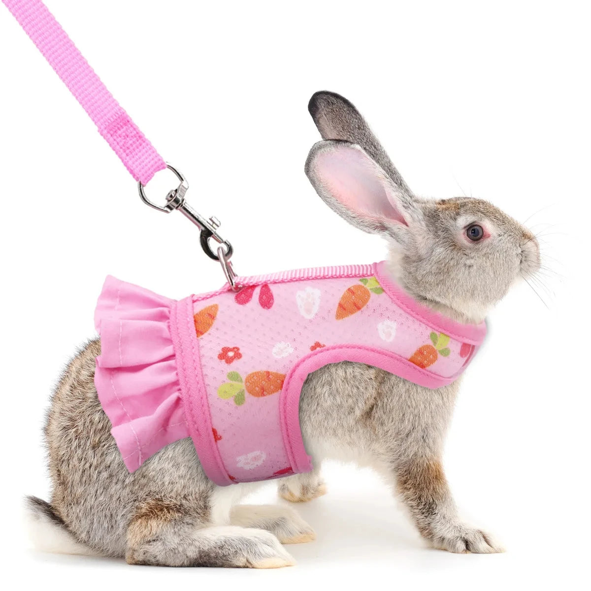 Adjustable Mesh Harness with Leash for Small Pets