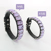 Two silver-toned dog collars featuring rows of purple and clear crystal rhinestones.