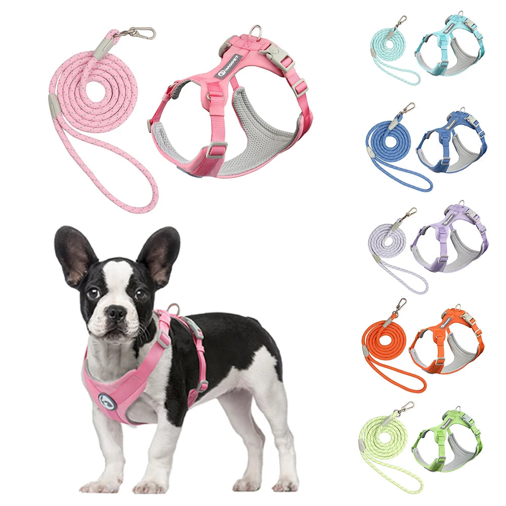 A pink adjustable dog harness and matching leash set shown next to a black and white dog.