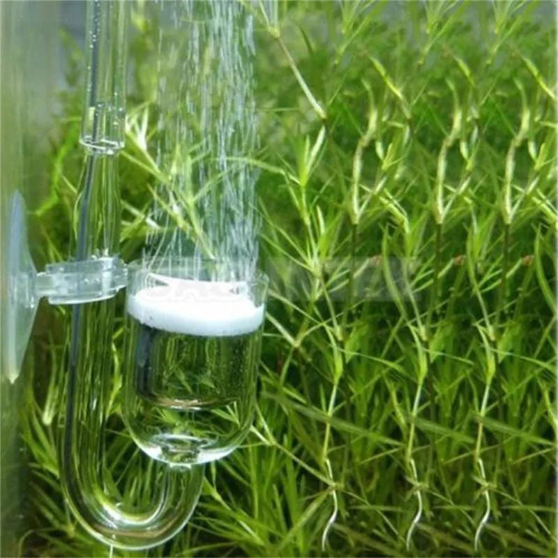 Tube en verre diffusant une brume fine sur des plantes aquatiques vertes pour la diffusion de CO2 dans l'aquarium.