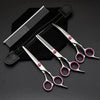 A set of grooming scissors and a comb are displayed on a black background.