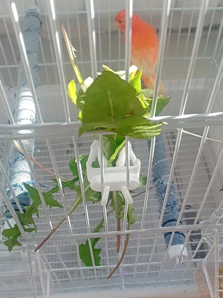 مشبك طعام الطيور للببغاوات والطيور الصغيرة