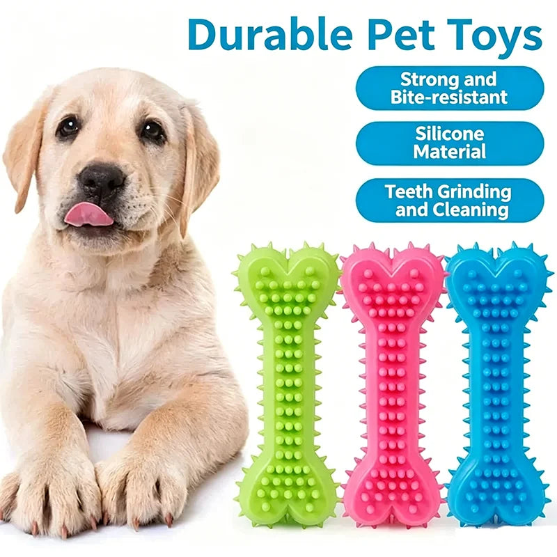 Three bone-shaped silicone rubber chew toys in green, pink, and blue for small dogs