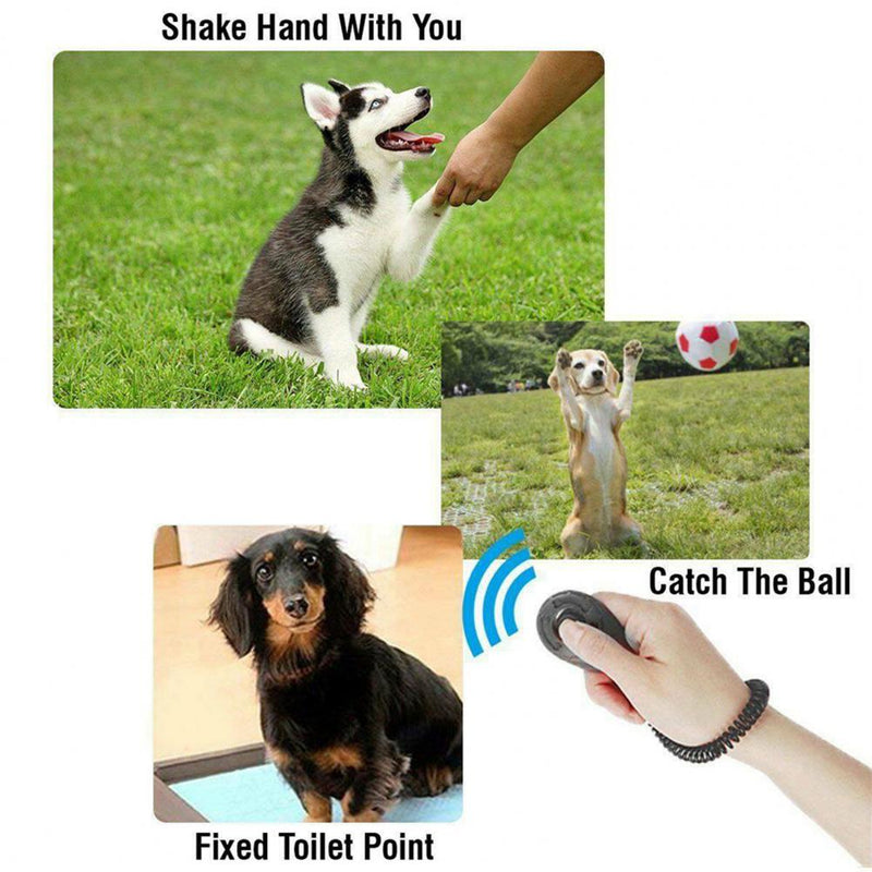 Verstellbarer Hundetraining-Clicker mit Handgelenkband