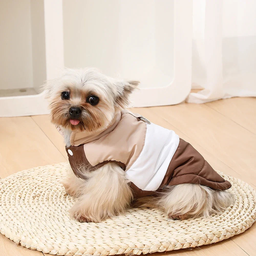 A small, fluffy dog is wearing a beige and brown padded windproof vest with a D-ring on a woven mat.