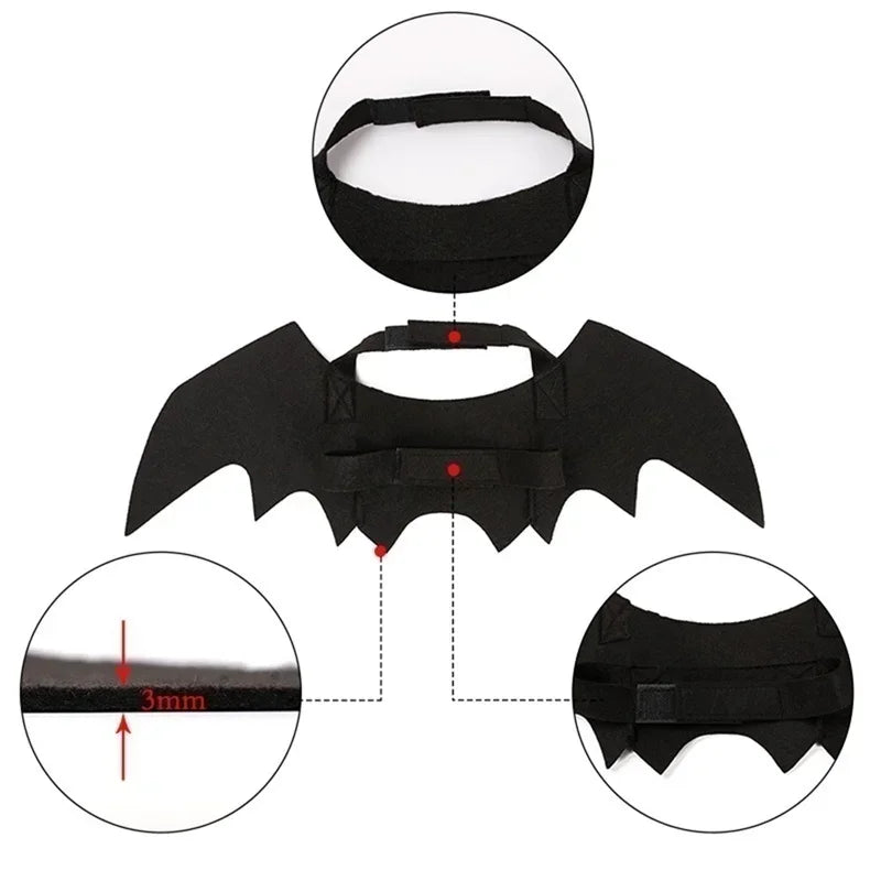 Costume d'animal avec ailes de chauve-souris noires, comprenant un couvre-chef, un corps et des attaches d'ailes.