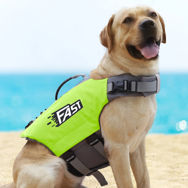 A golden retriever wearing a bright lime green dog life jacket with the FAST1 logo, sitting on a sandy beach near blue water.