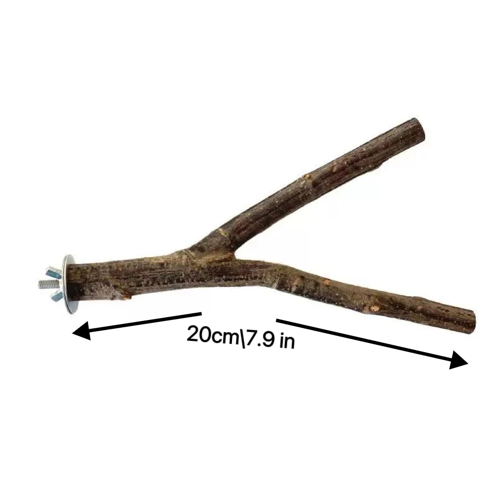 Natural Wood Forked Bird Perch for Small Parrots