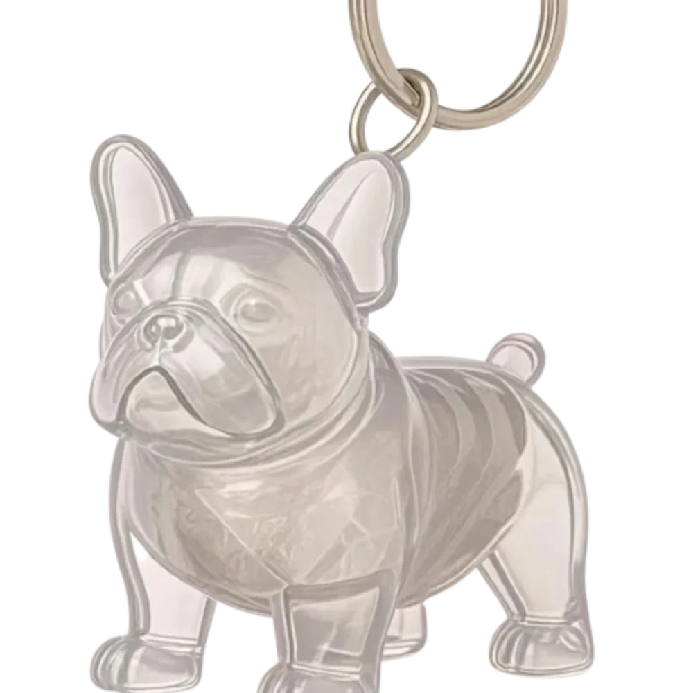 Pet Hair Storage Keychain – Transparent Dog & Cat Fur Keepsake Pendant