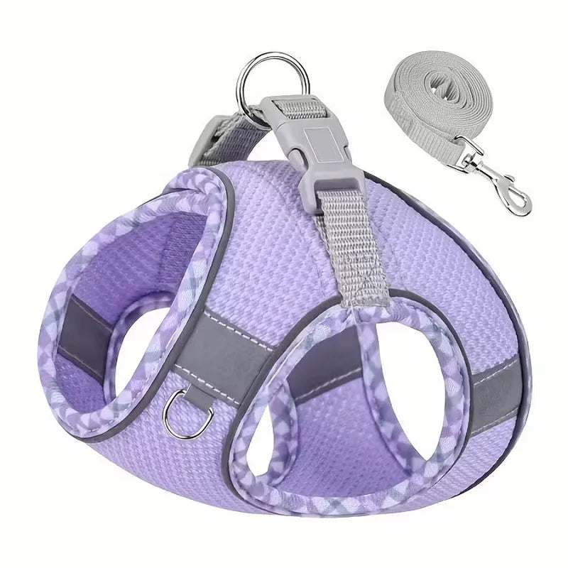 A purple reflective dog and cat harness with a silver leash attached.