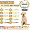 Crystal-Embellished Cuban Link Dog Collar