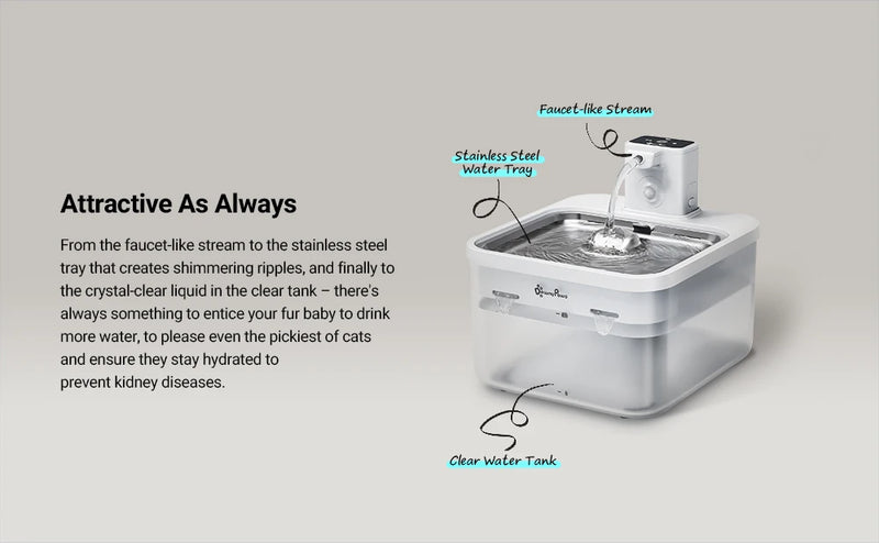 Fontaine à eau automatique pour chat en acier inoxydable