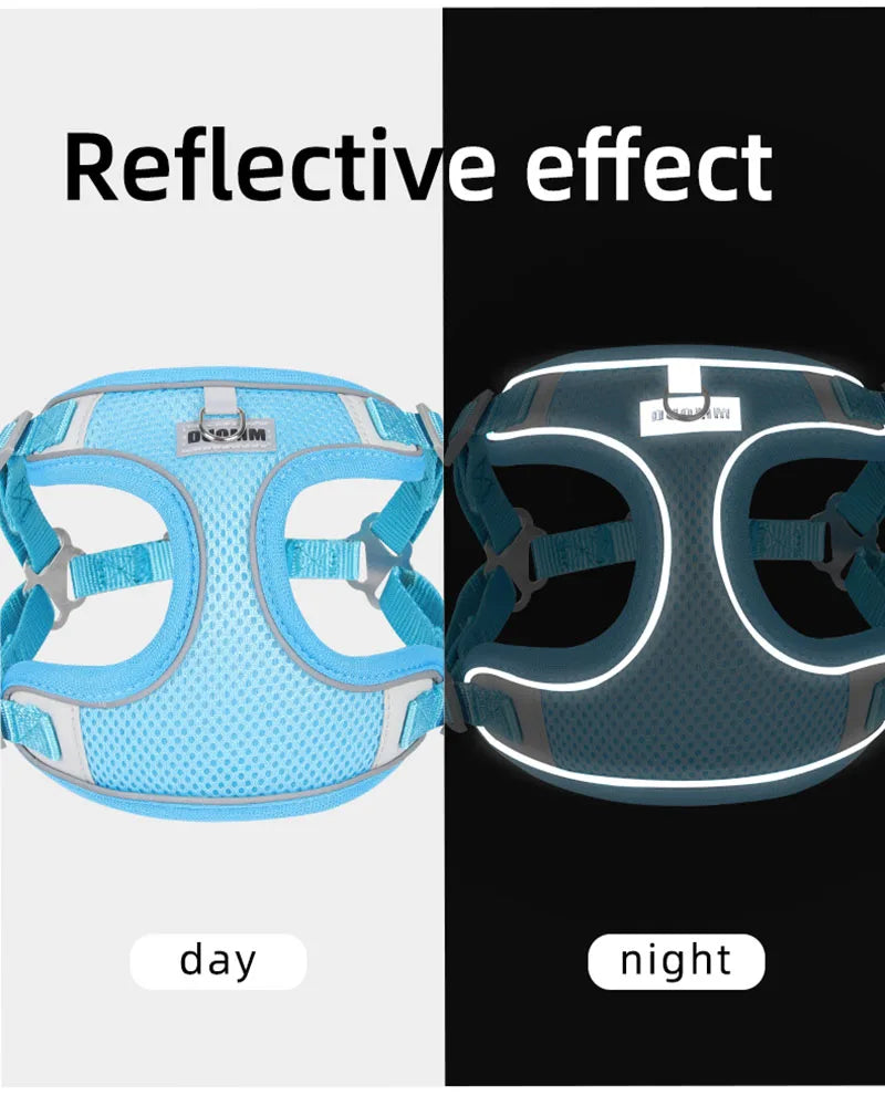 Dog Harness Leash Set with Reflective Strap for Small and Medium Dogs