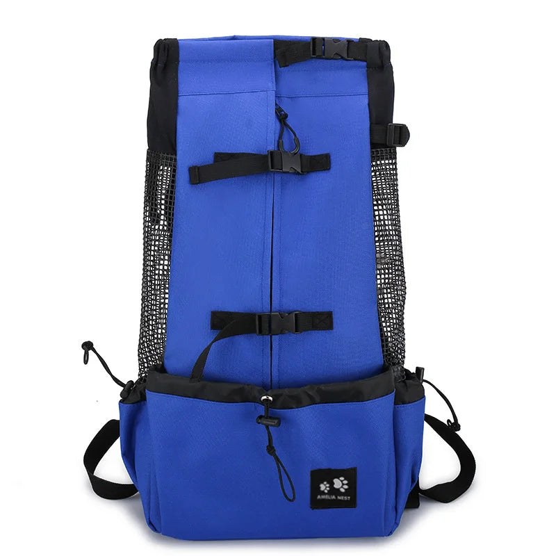 A bright blue breathable dog backpack carrier with black straps and mesh panel.