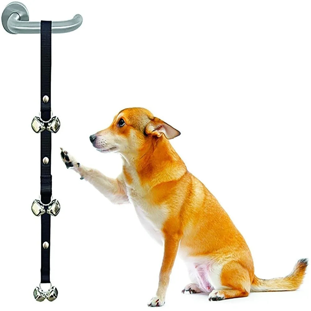 An orange dog is sitting next to an adjustable metal dog doorbell.