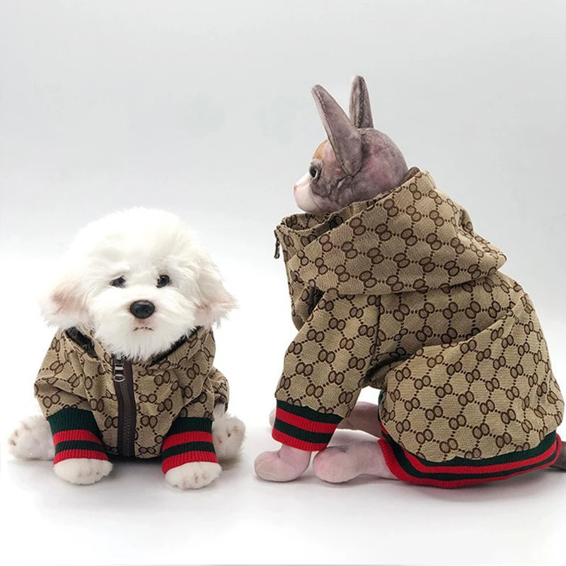 Patterned Dog Coat for Autumn and Winter