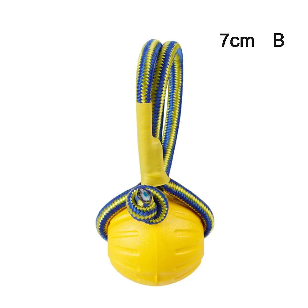 Durable Rubber Fetch Ball for Dogs and Cats
