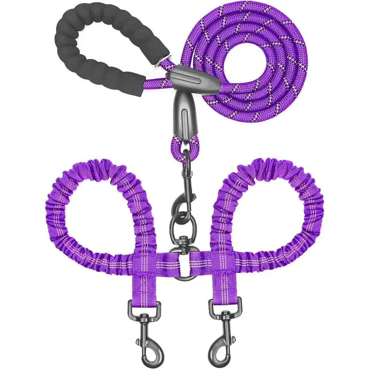 Purple double dog leash with shock absorbing bungee and metal clips