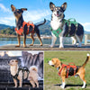 Reflektierende Nylon-Hundegeschirr mit Griff