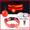 USB Charging Glowing Dog Collar with Pendant - Night Safety
