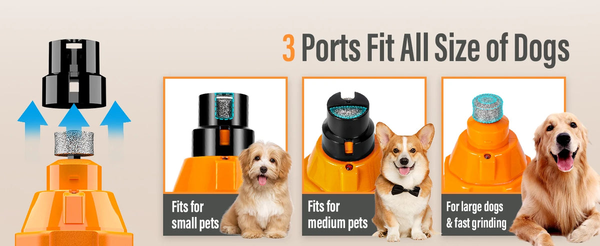 Rechargeable 6-Speed Dog Nail Grinder – Quiet & Painless Paw Care