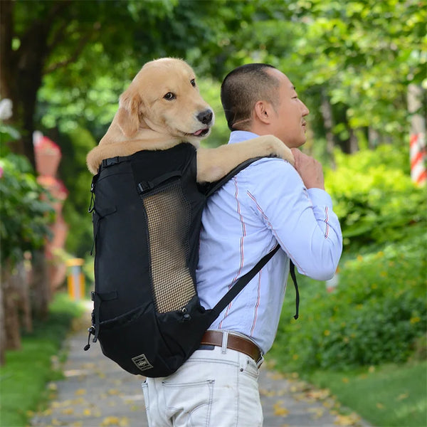 A man is carrying a tan Labrador dog in a black travel dog carrier backpack outdoors.